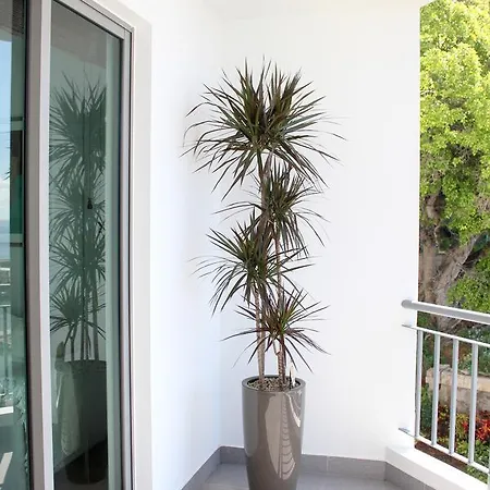 The Seaside Apartament Funchal (Madeira)